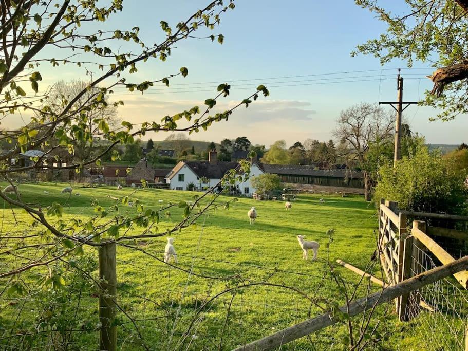 布里奇诺斯The Cart House - Beautiful Contemporary Barn - Hot Tub公寓 外观 照片
